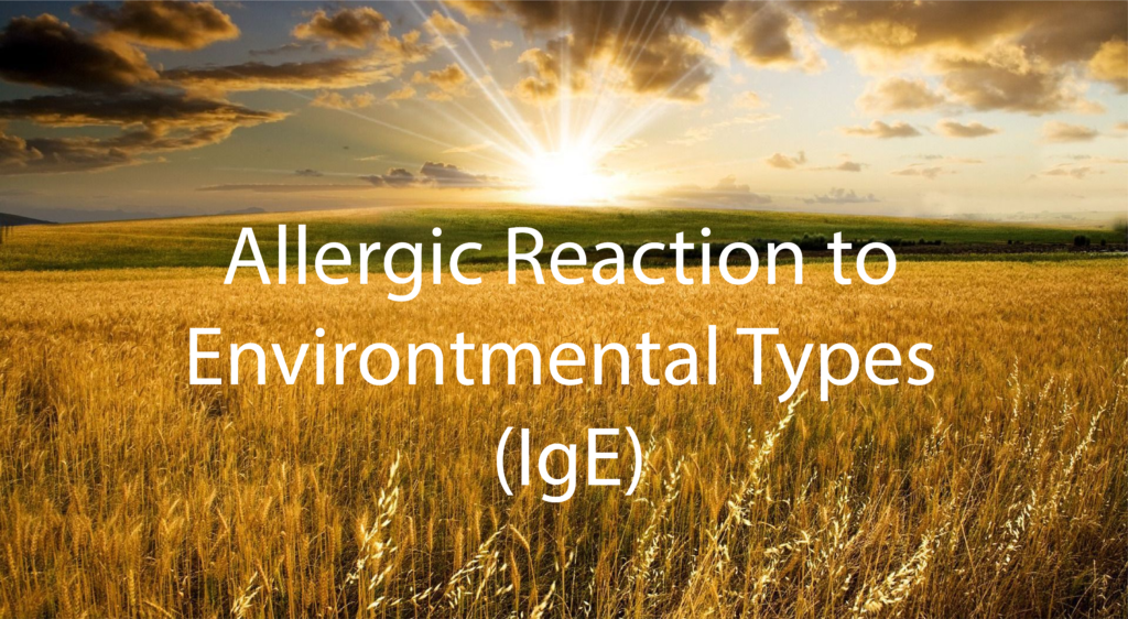 Allergies to Environmental Types (IgE) 1